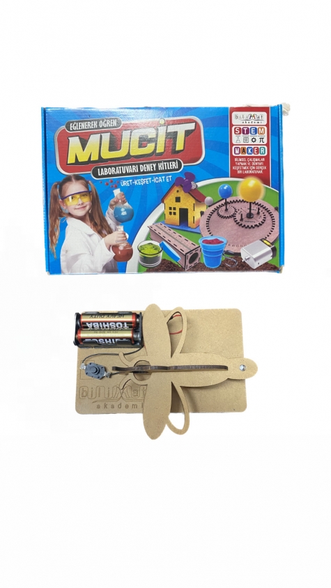 Renkli Ateş Böceği Renkli Ateş Böceği