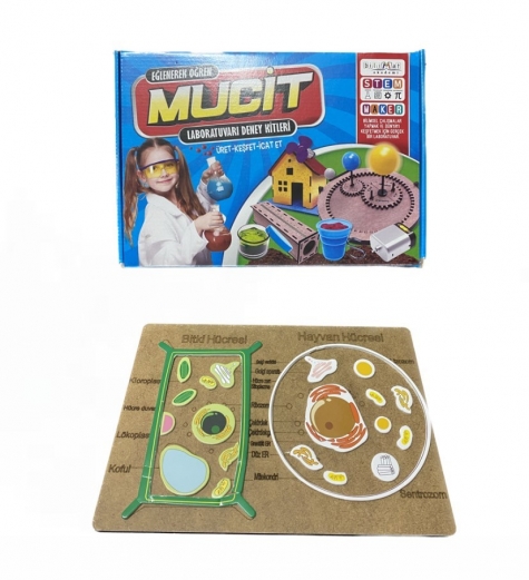 Bitki ve Hayvan Hücreleri Bitki ve Hayvan Hücreleri